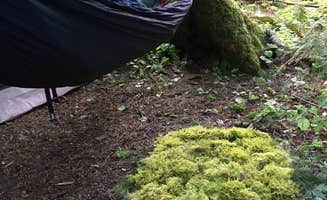 Ethan H.'s photo of a dispersed camping area at Gifford Pinchot National Forest-Canyon Creek Dispersed Camping near St. Helens, OR