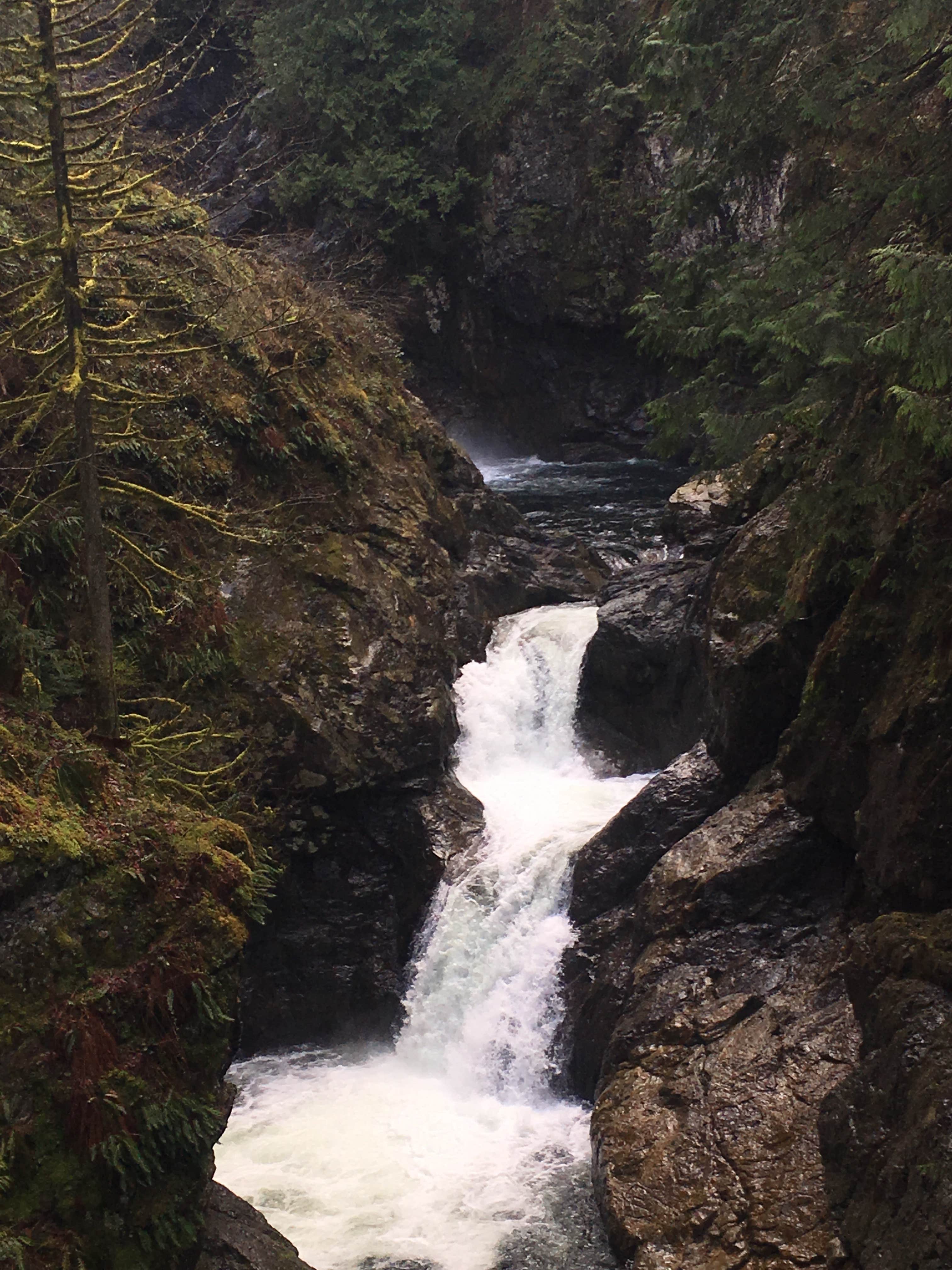 Camper submitted image from Gifford Pinchot National Forest-Canyon Creek Dispersed Camping - 2