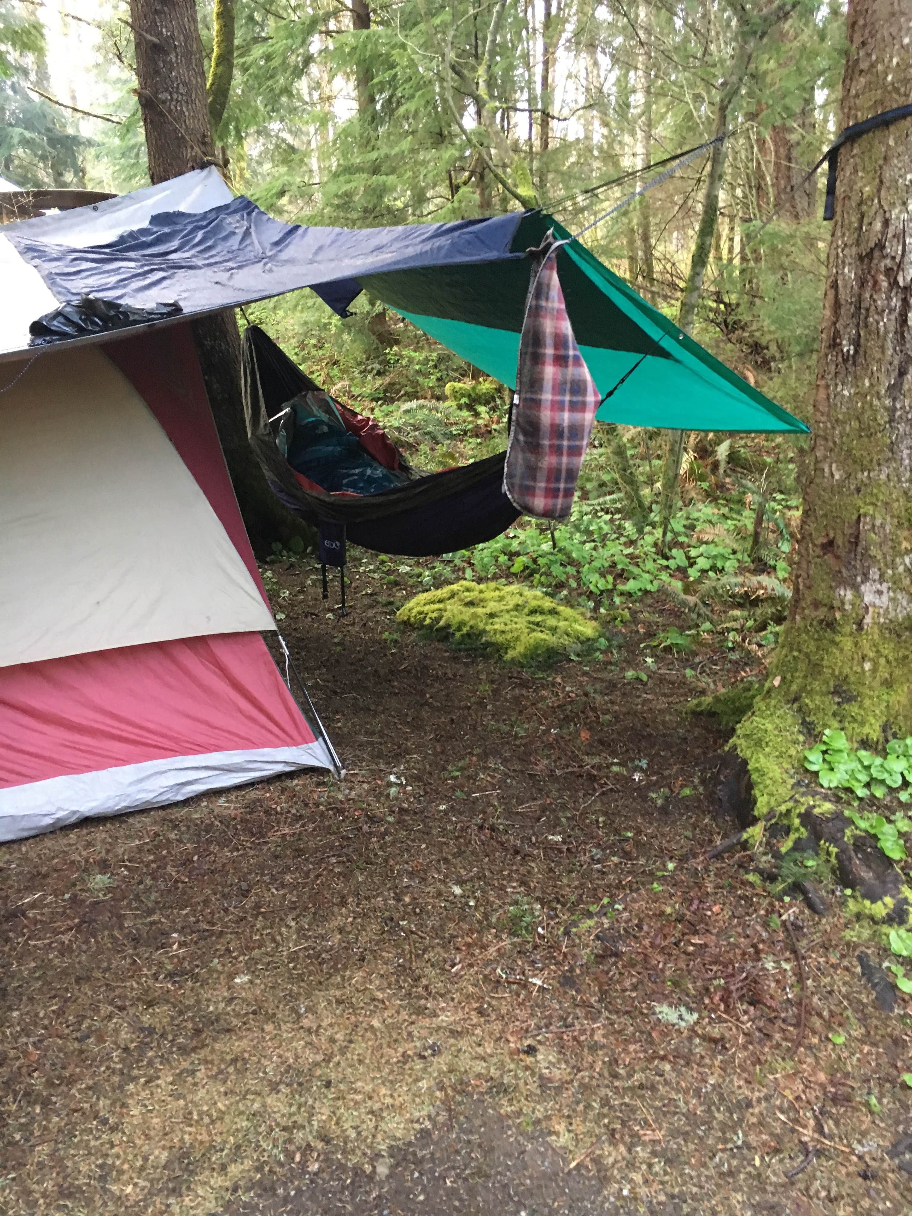 Ethan H.'s photo of tent camping at Gifford Pinchot National Forest-Canyon Creek Dispersed Camping near Woodland, WA
