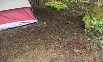 Camping near Lake Merwin Camper's Hideaway: Gifford Pinchot National Forest-Canyon Creek Dispersed Camping, Cougar, Washington
