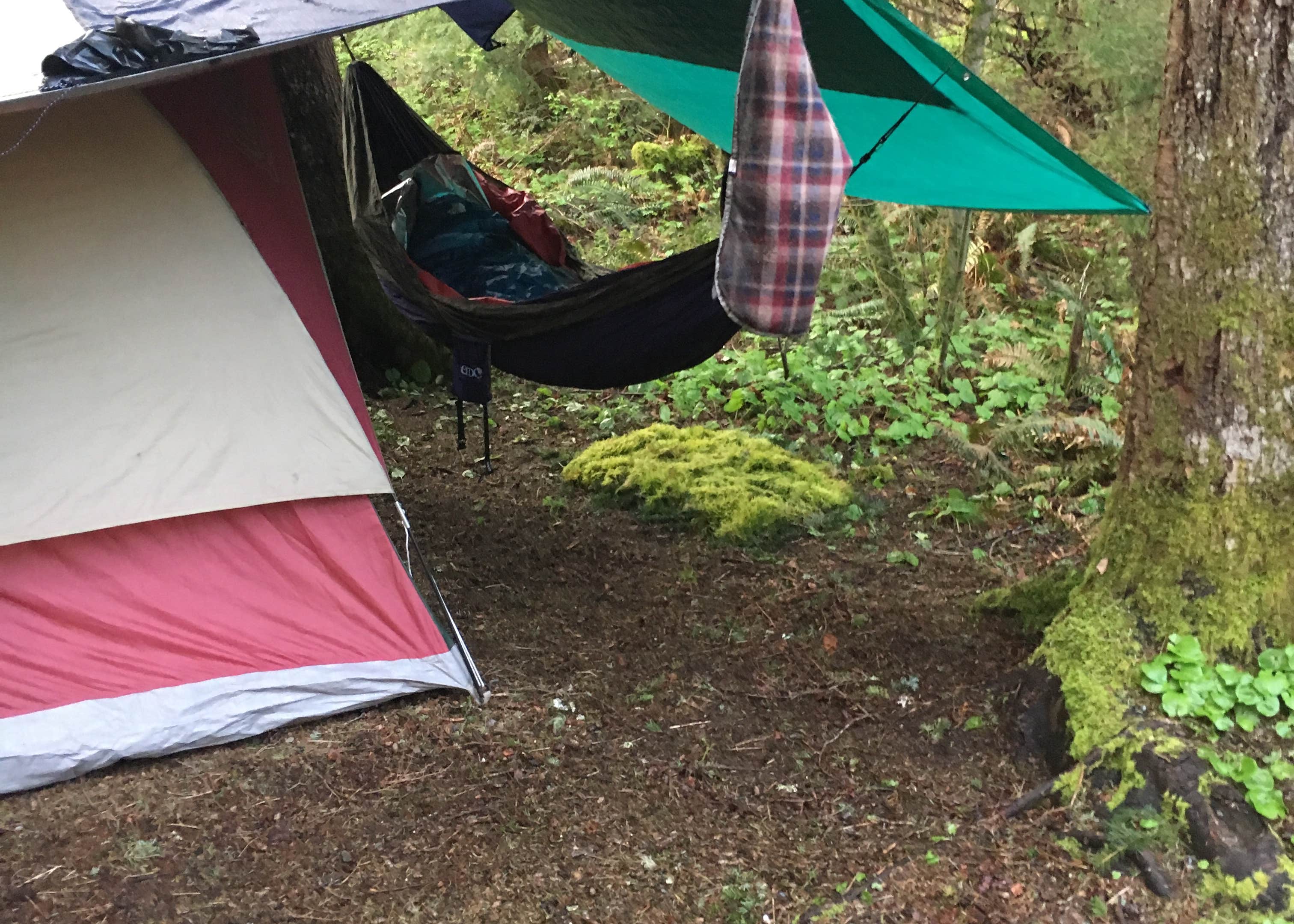 Gifford Pinchot National ForestCanyon Creek Dispersed Camping Camping