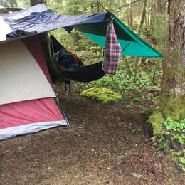 Gifford Pinchot National Forest-Canyon Creek Dispersed Camping