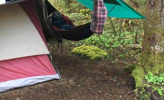 Ethan H.'s photo of a dispersed camping area at Gifford Pinchot National Forest-Canyon Creek Dispersed Camping near Heisson, WA
