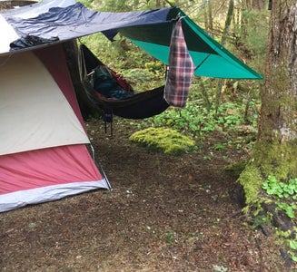 Camper-submitted photo from Gifford Pinchot National Forest-Canyon Creek Dispersed Camping