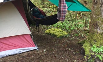 Camping near Swift Creek on Forest Road 83: Gifford Pinchot National Forest-Canyon Creek Dispersed Camping, Cougar, Washington