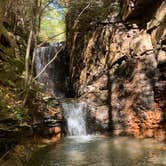 Review photo of Cove Lake State Park Campground by Shy-Anne W., October 14, 2020