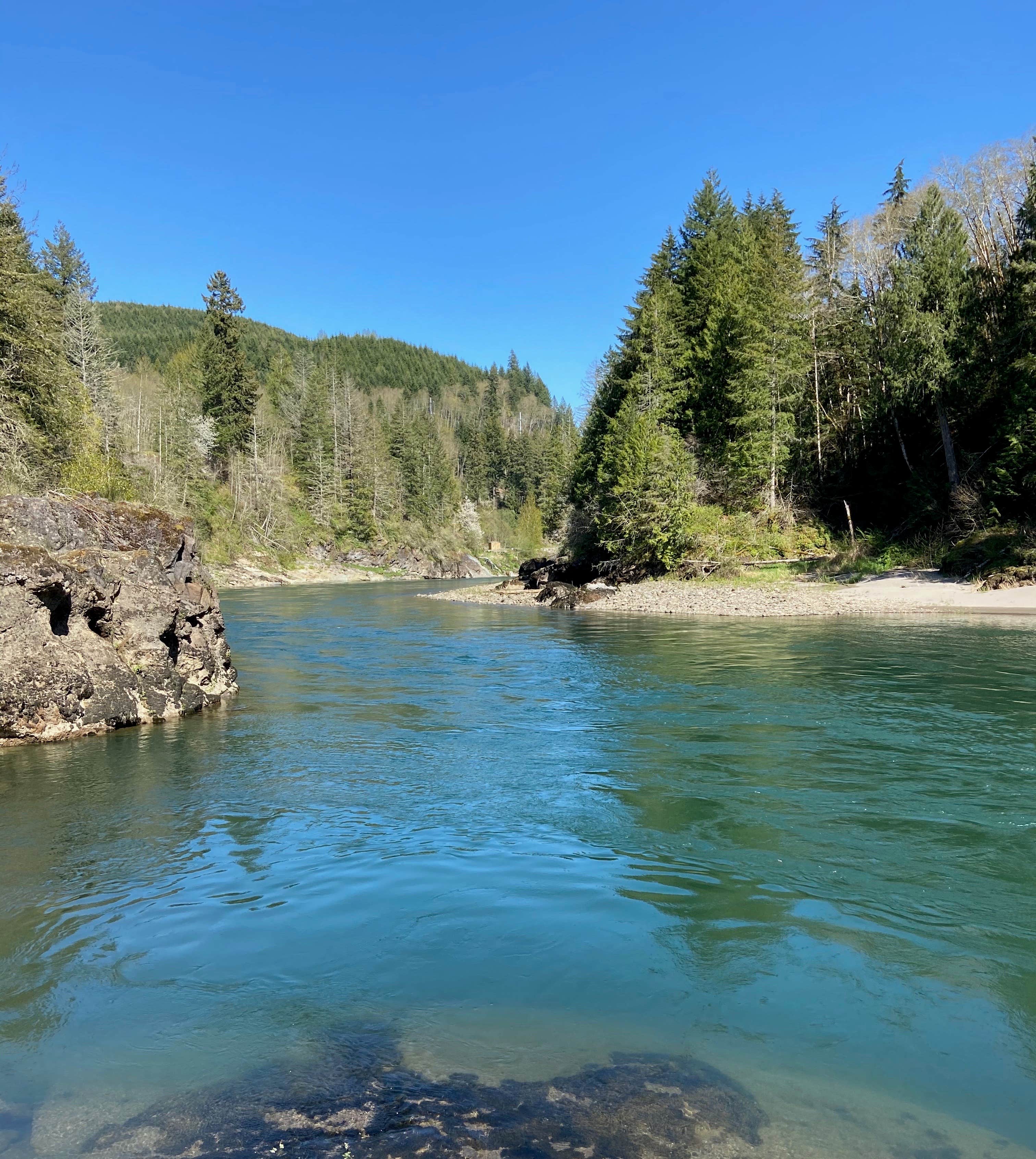 Camper submitted image from Cowlitz Falls Campground - 3