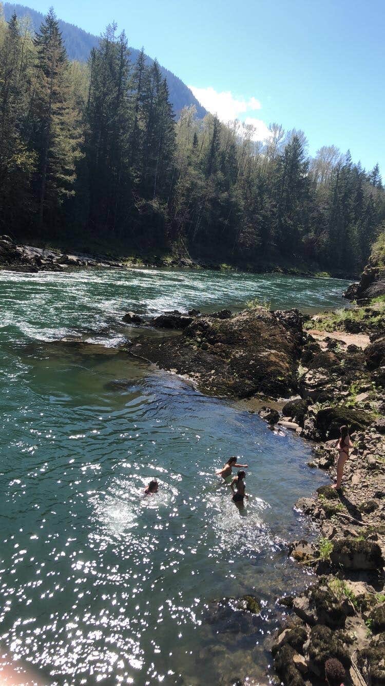 Camper submitted image from Cowlitz Falls Campground - 4