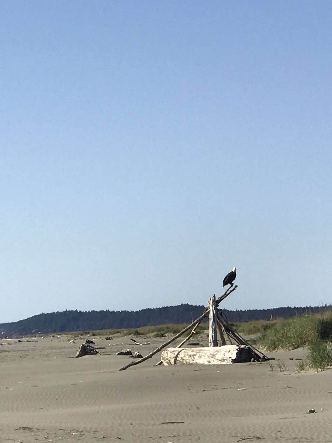 Camper submitted image from Western Horizon Ocean Shores - 1