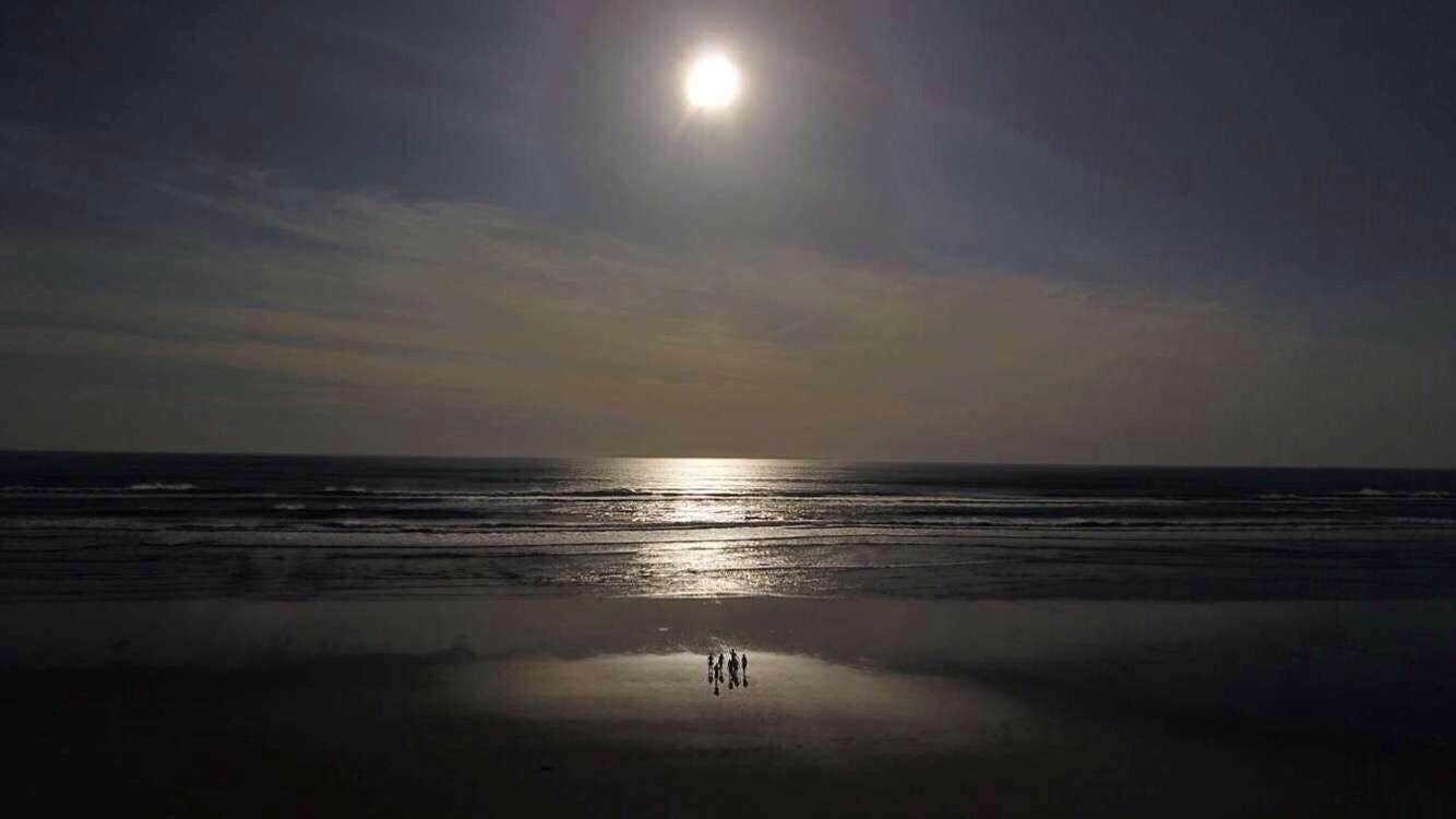 Camper-submitted photo at Western Horizon Ocean Shores near Westport, WA