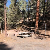 Review photo of Black Canyon Campground by Megan  E., October 15, 2020