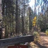 Review photo of Black Canyon Campground by Megan  E., October 15, 2020