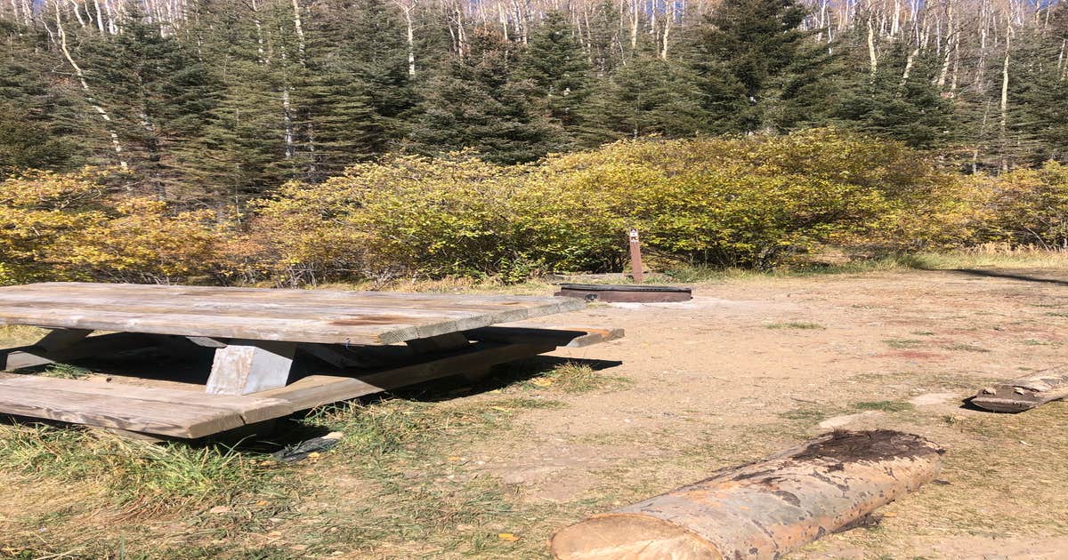 Big Tesuque Campground Camping The Dyrt