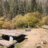 Review photo of Big Tesuque Campground by Megan  E., October 15, 2020