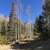 Review photo of Big Tesuque Campground by Megan  E., October 15, 2020