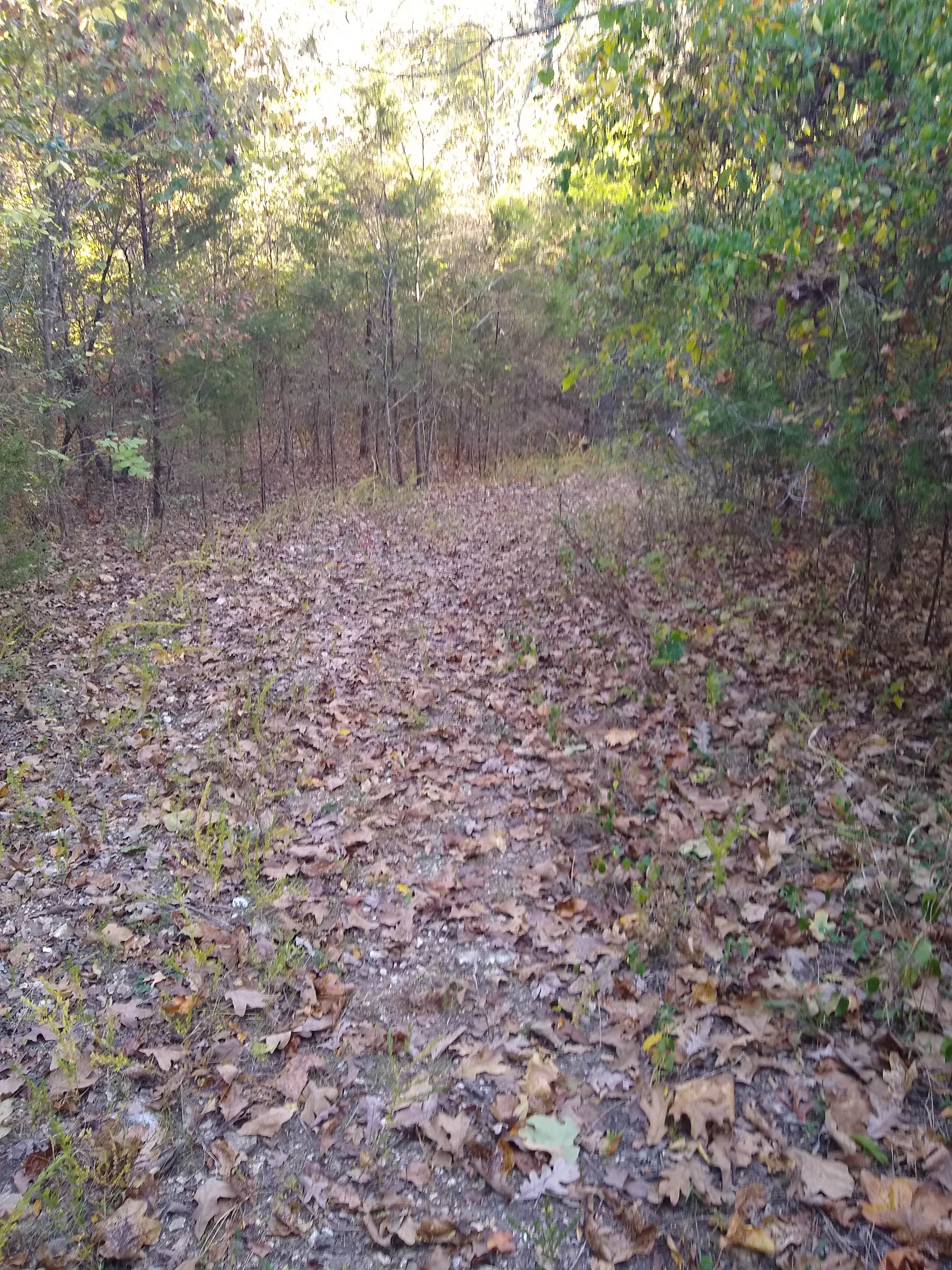 Camper-submitted photo at Branson KOA near Forsyth, MO