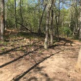 Review photo of Claytor Lake State Park Campground by Dave V., May 21, 2018