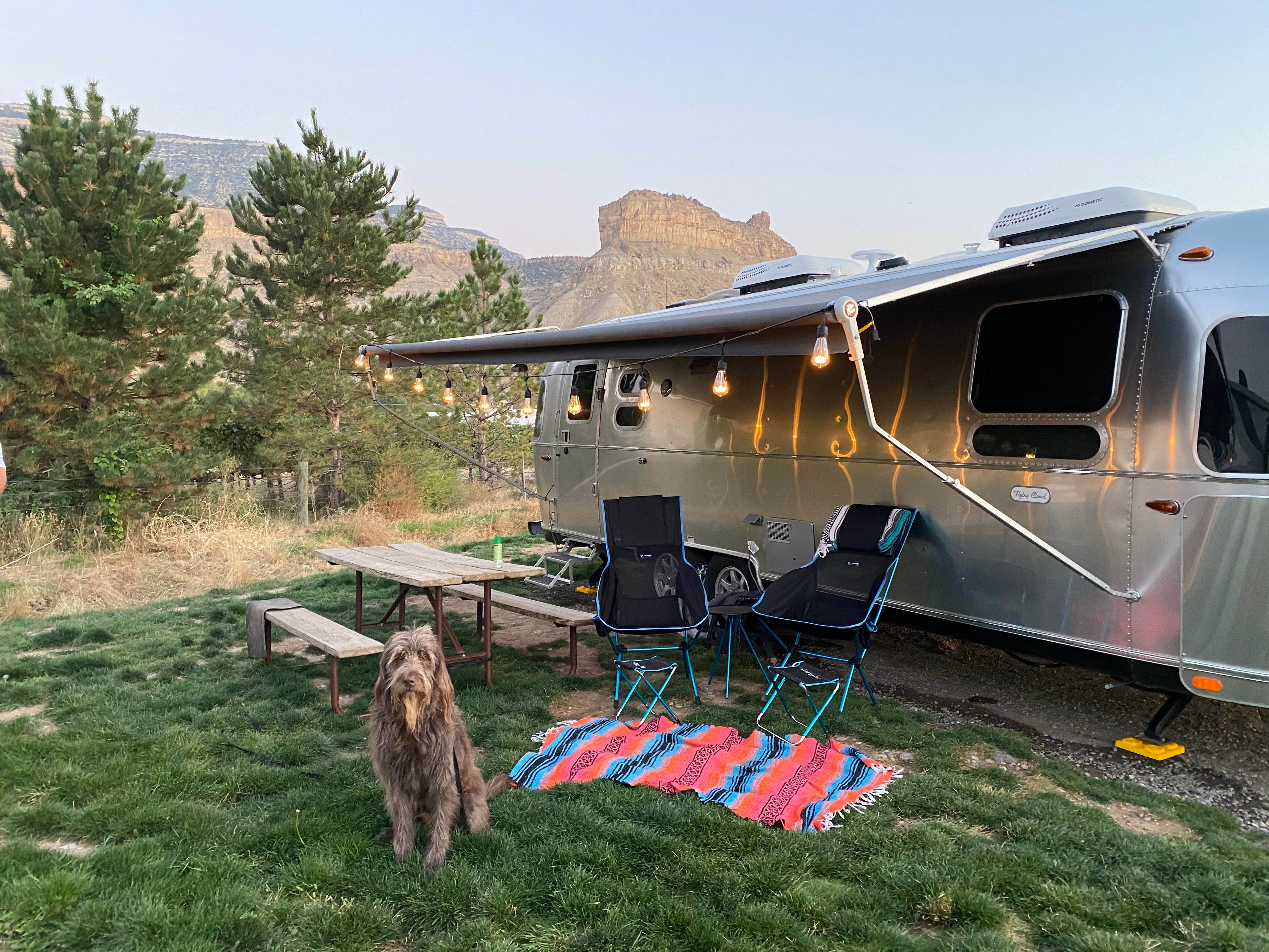 Jenny W.'s photo of camping with pets at Palisade Basecamp RV Resort near Palisade, CO