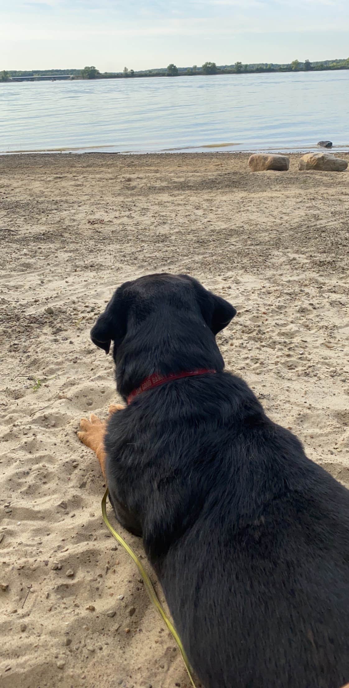 Sarah K.'s photo of camping with pets at Mill Creek Camping — Berlin Lake Wildlife Area near Boardman, OH