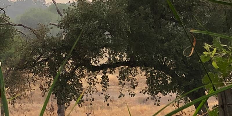 Camper submitted image from North Battle Creek Campground