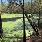 Review photo of Dogwood Campground — O'Leno State Park by Jeff A., October 15, 2020