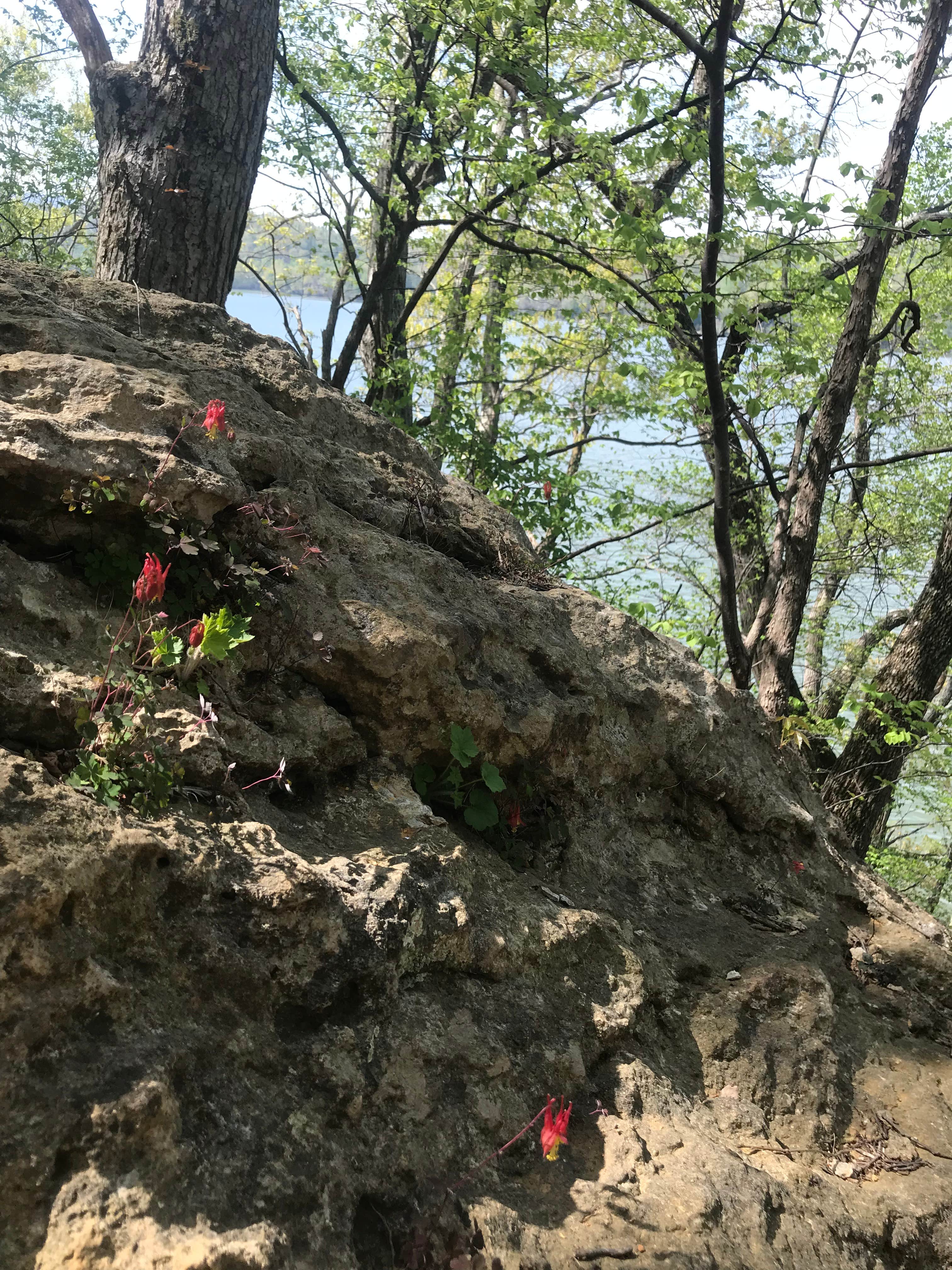 Camper-submitted photo at Claytor Lake State Park Campground near Narrows, VA