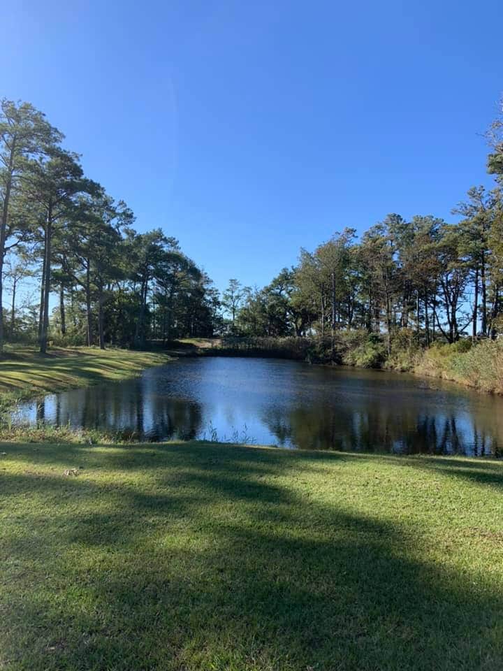 Camper submitted image from OBX Campground - 4