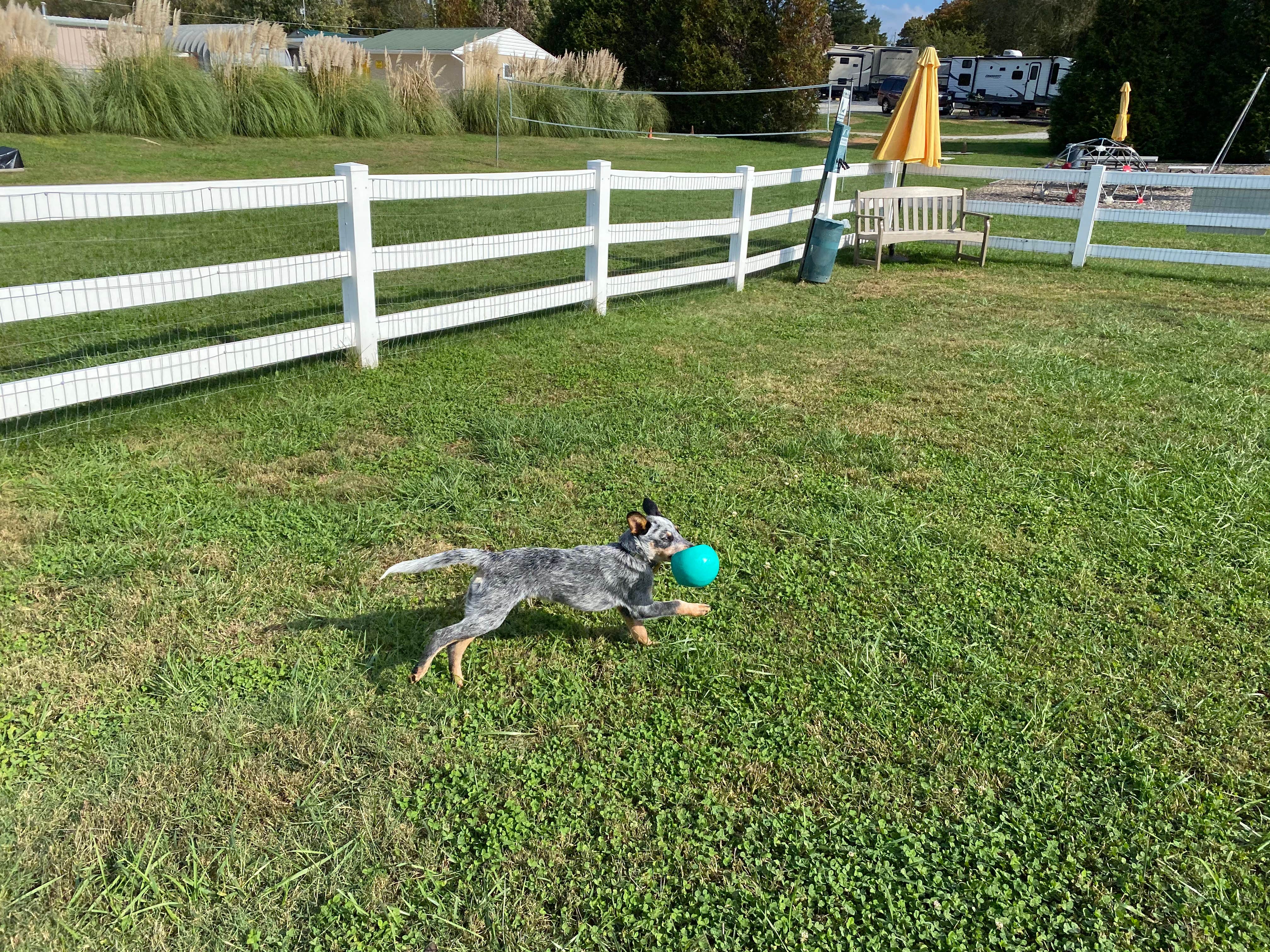 Camper-submitted photo at Clinton-Knoxville North KOA near Clinton, TN