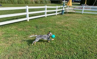 Andrea F.'s photo of camping with pets at Clinton-Knoxville North KOA near Knoxville, TN