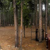 Review photo of Canyon Campground — Yellowstone National Park by clint F., October 15, 2020