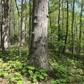 Review photo of Claytor Lake State Park Campground by Dave V., May 21, 2018