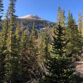 Review photo of North Cottonwood Trailhead Dispersed Camping by Taylor A., October 15, 2020