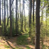 Review photo of Claytor Lake State Park Campground by Dave V., May 21, 2018