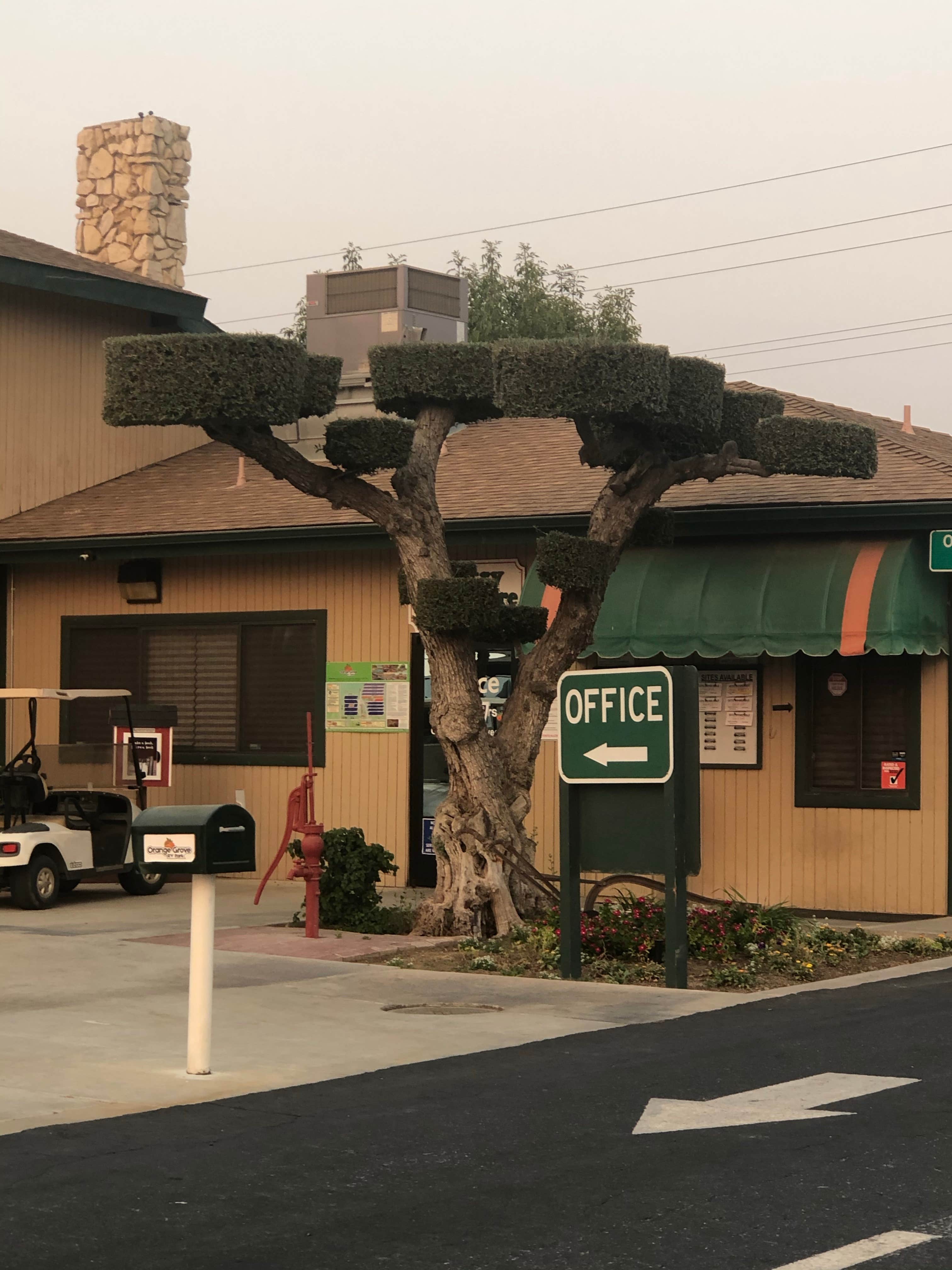 Camper-submitted photo at Orange Grove RV Park near Onyx, CA