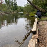 Review photo of Canoe Harbor State Forest Campground & Canoe Camp by Laurel K., October 15, 2020