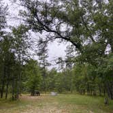 Review photo of Canoe Harbor State Forest Campground & Canoe Camp by Laurel K., October 15, 2020