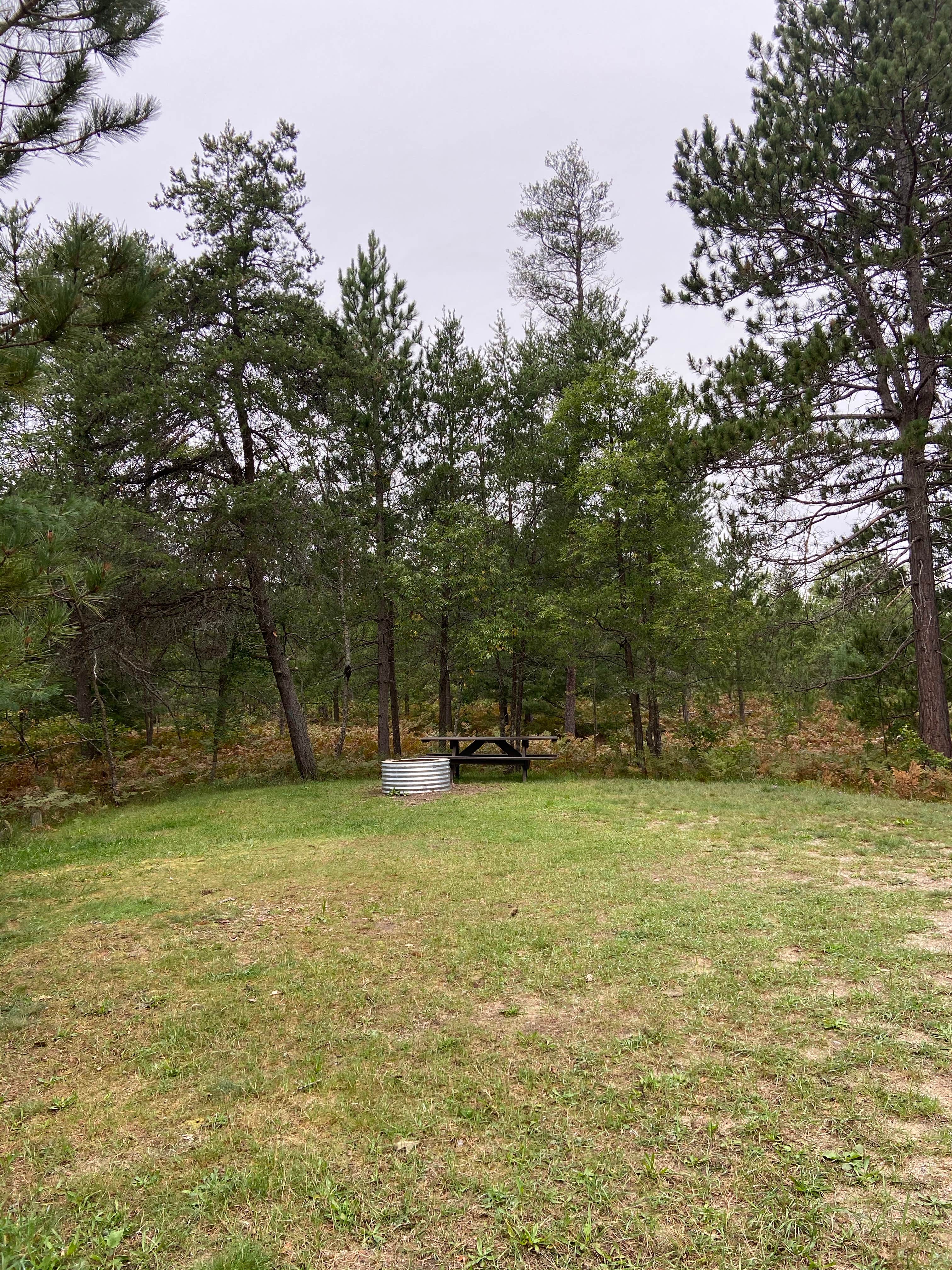 Canoe Harbor State Forest Campground & Canoe Camp photo 5