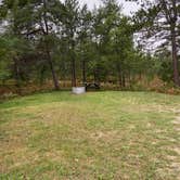 Review photo of Canoe Harbor State Forest Campground & Canoe Camp by Laurel K., October 15, 2020