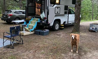 Camping near Meadows ORV Campground: Canoe Harbor State Forest Campground & Canoe Camp, Luzerne, Michigan
