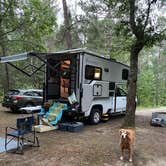 Review photo of Canoe Harbor State Forest Campground & Canoe Camp by Laurel K., October 15, 2020