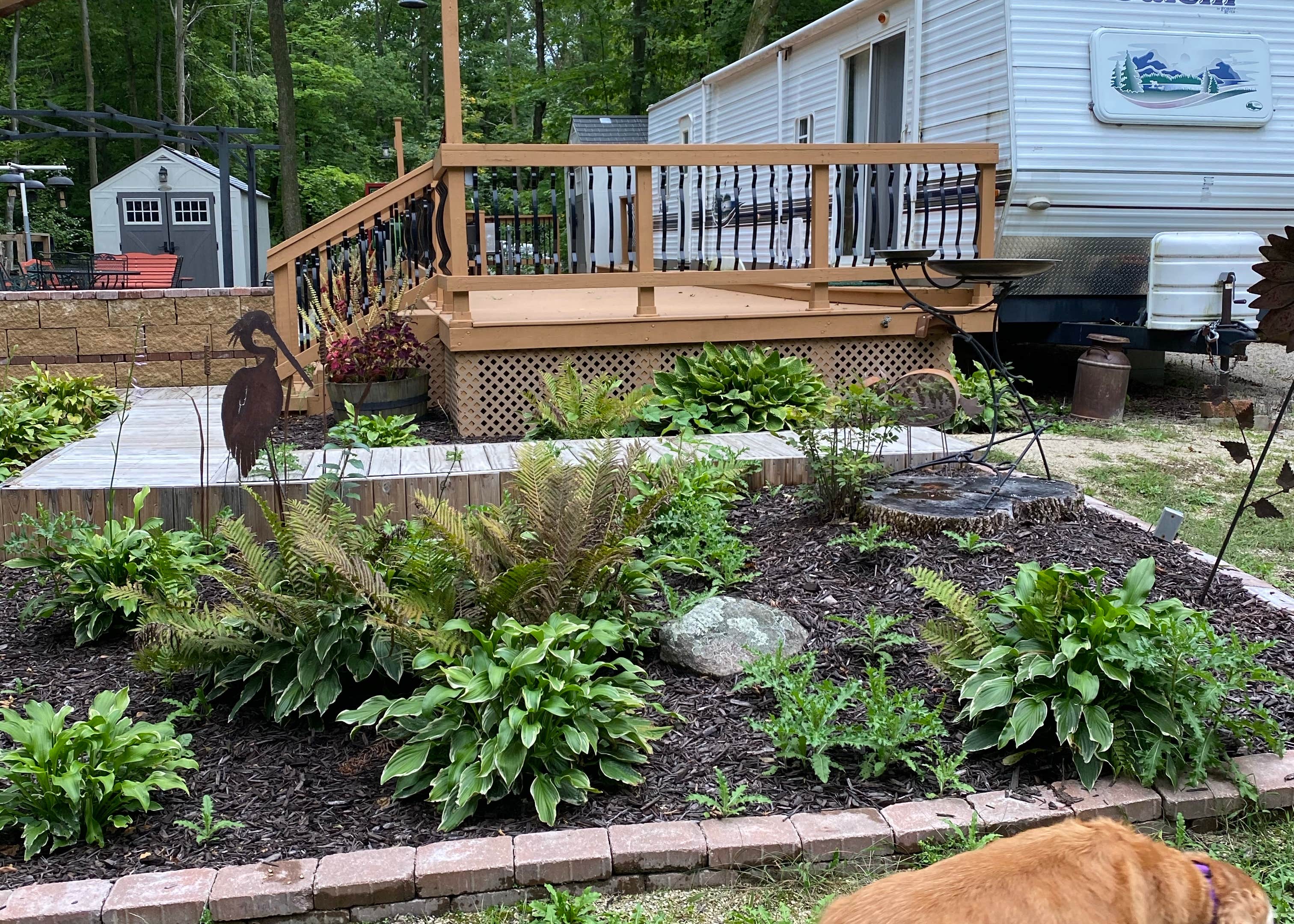 Timber Trail Campgrounds Camping The Dyrt