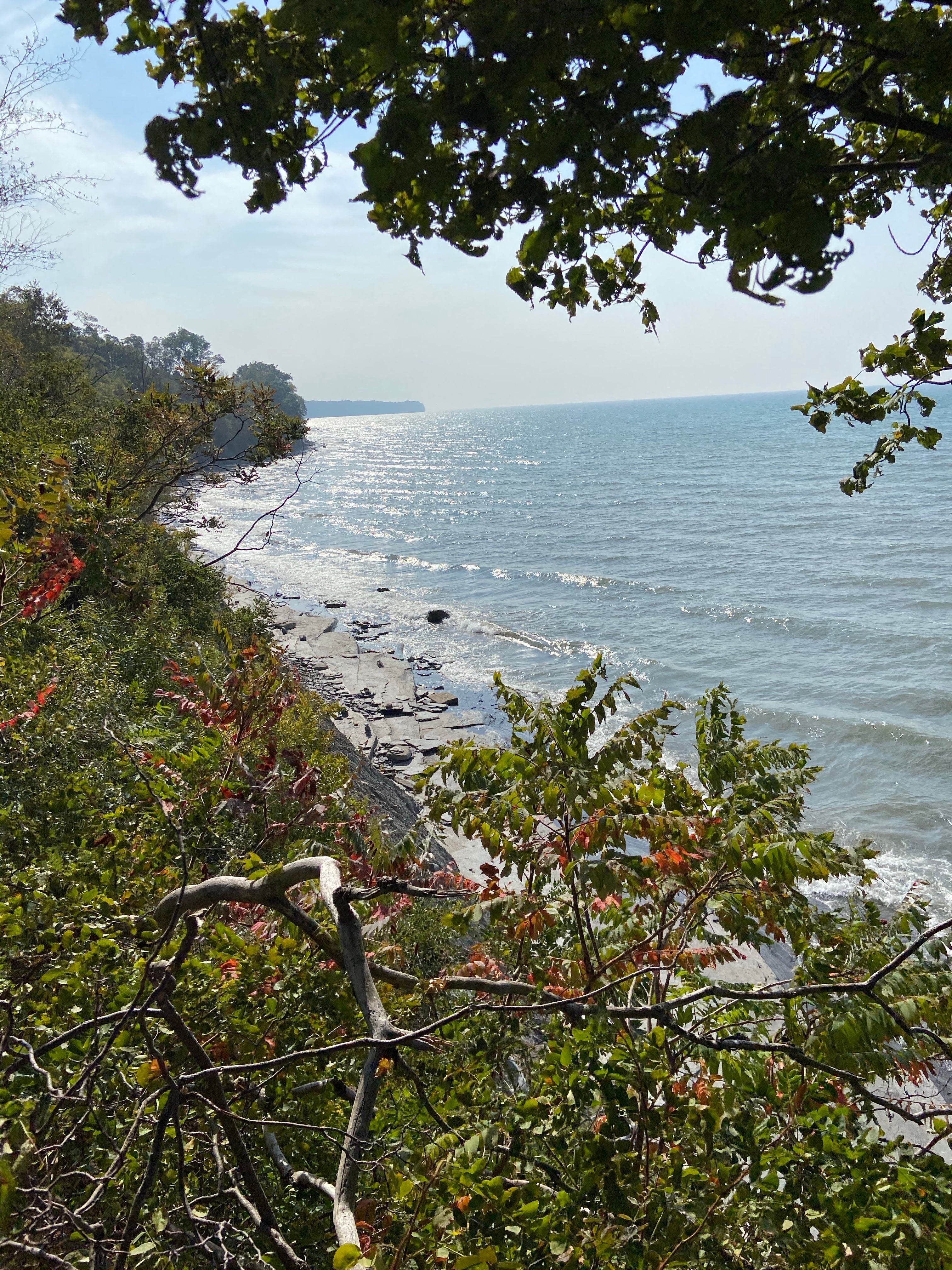 Camper submitted image from Lake Erie State Park Campground - 4