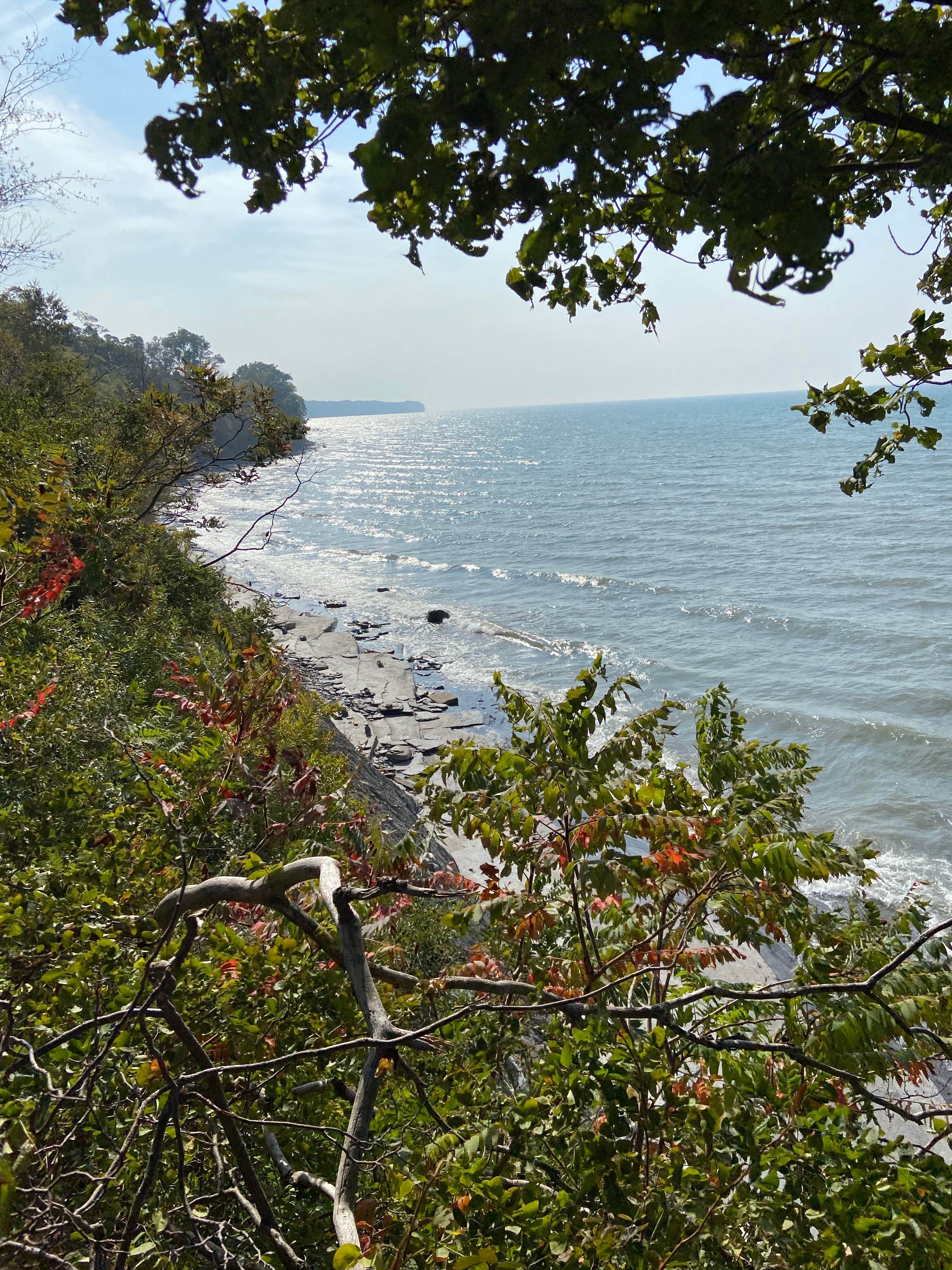 Camper submitted image from Lake Erie State Park Campground - 5