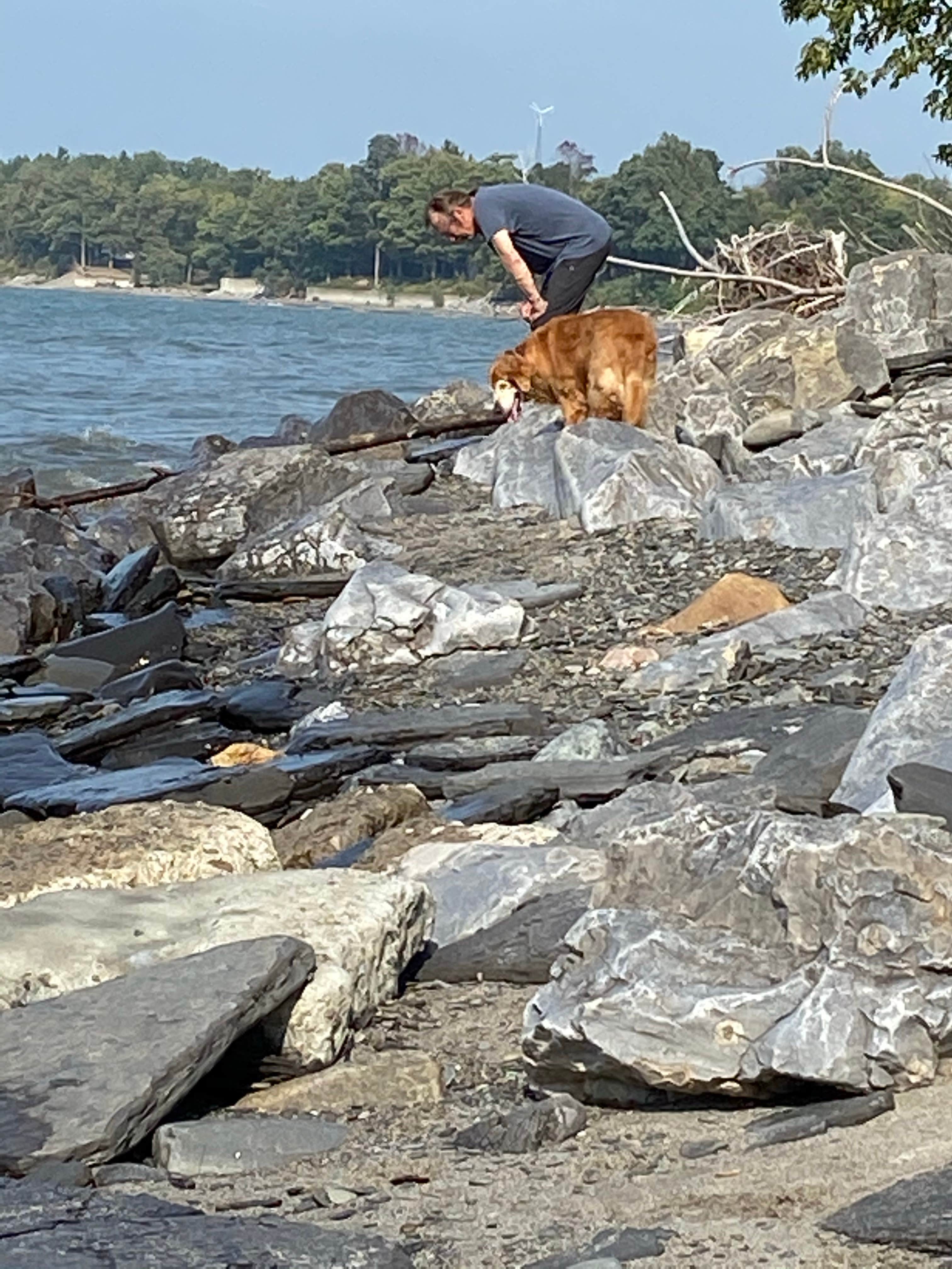 Camper-submitted photo at Lake Erie State Park Campground near Cassadaga, NY