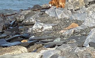 Laurel K.'s photo of camping with pets at Lake Erie State Park Campground near Erie, PA