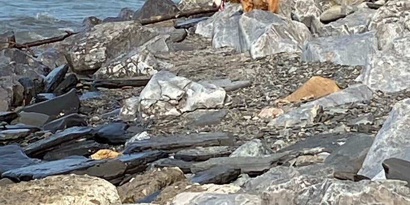 Camper submitted image from Lake Erie State Park Campground