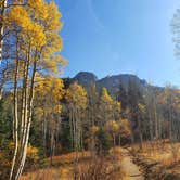 Review photo of Deer Creek Campground — Golden Gate Canyon by Maria M., October 15, 2020