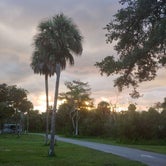 Review photo of Collier–Seminole State Park Campground by Laura M., October 15, 2020