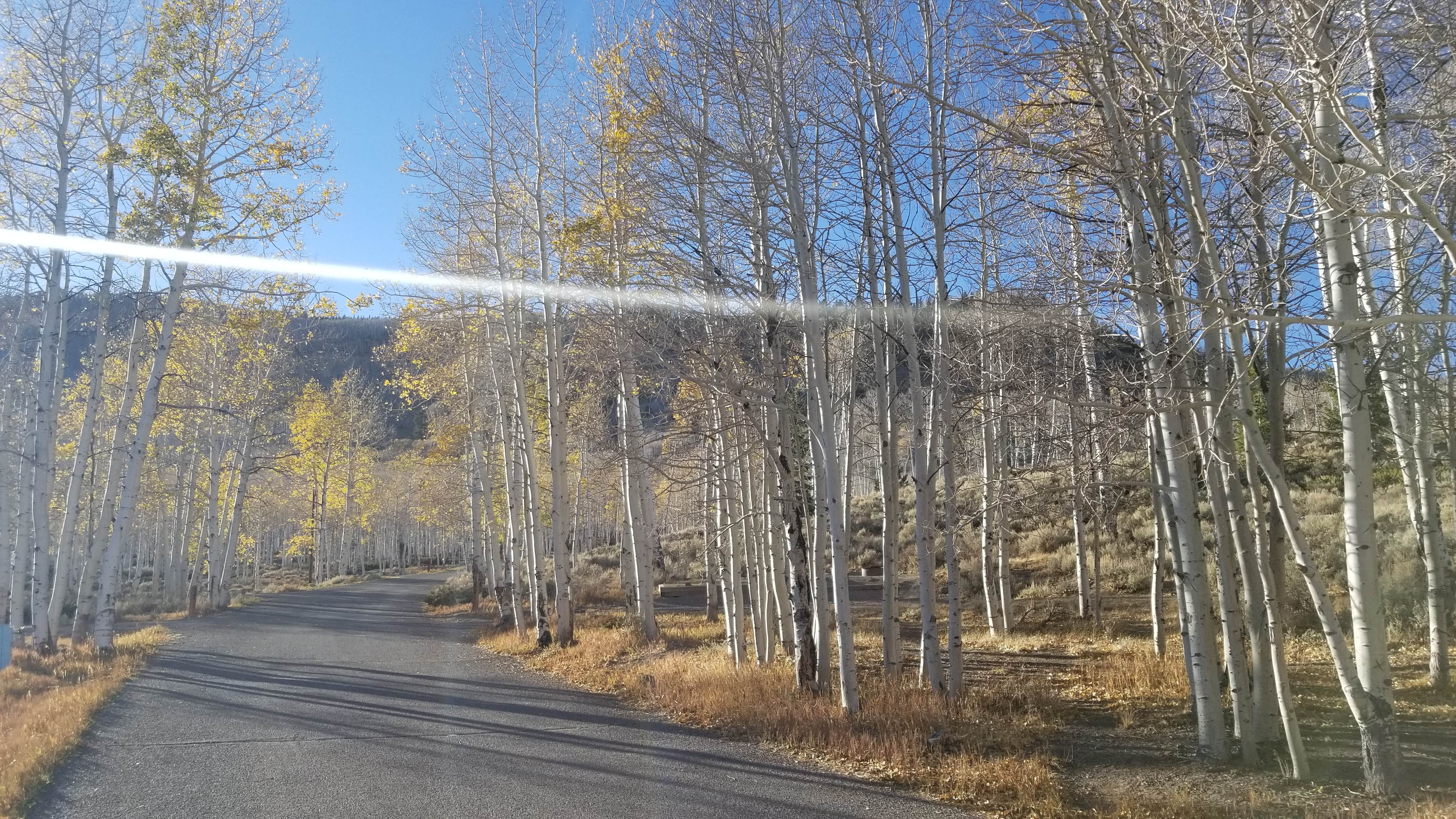 Camping near Frying Pan: Doctor Creek, Fremont, Utah