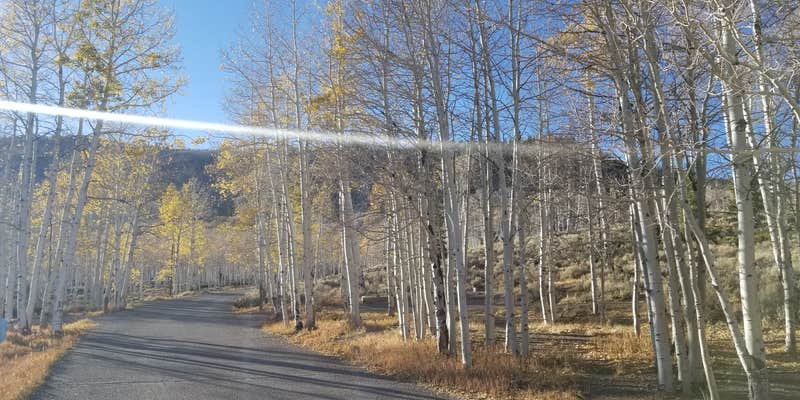 Camper submitted image from Doctor Creek